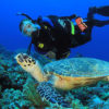 320-Full-Day-Scuba-Diving-Adventure-Tour-with-Lunch-at-Hurgada-12821512059456