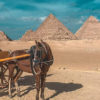 Giza Egypt Tour