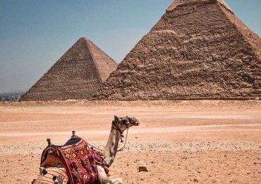 Camel Ride at Egypt Pyramid