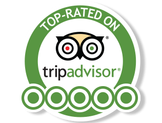 Trip advisor logo