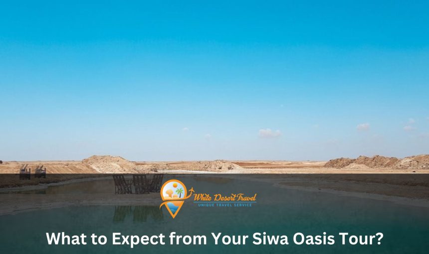 What to Expect from Your Siwa Oasis Tour?